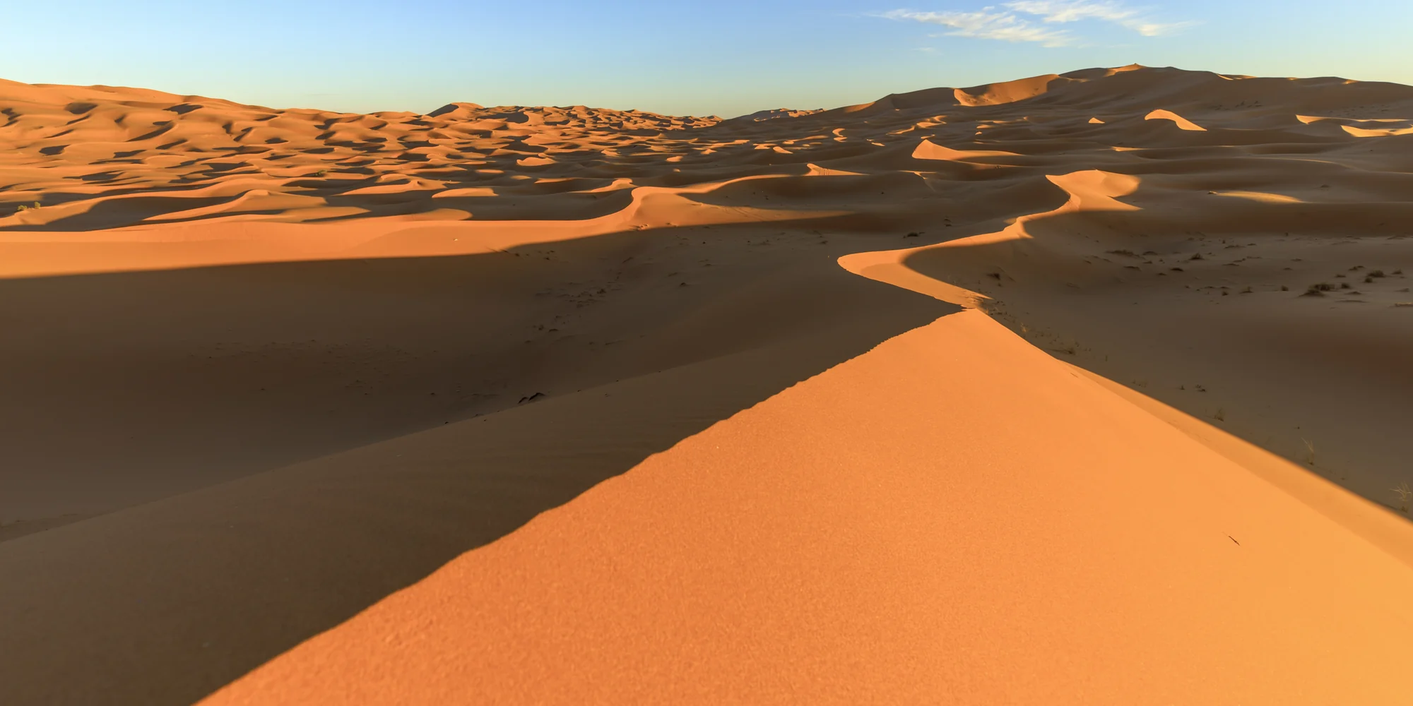 A long ridge between sunlit sand and shadow across the Erg Chebbi dunes